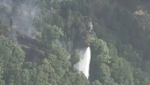 「三重･津市の山火事 4日目のきょう午後5時過ぎに｢鎮火｣ 約10ヘクタール焼ける けが人なし 県職員の｢派遣基準｣見直しへ」の画像