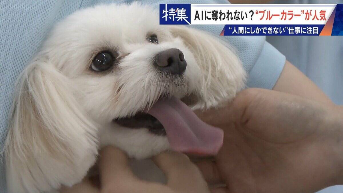 17年で日当約4倍 今や年収1000万円超も… ｢とび職｣ AIに“仕事を奪われない”ブルーカラーが人気