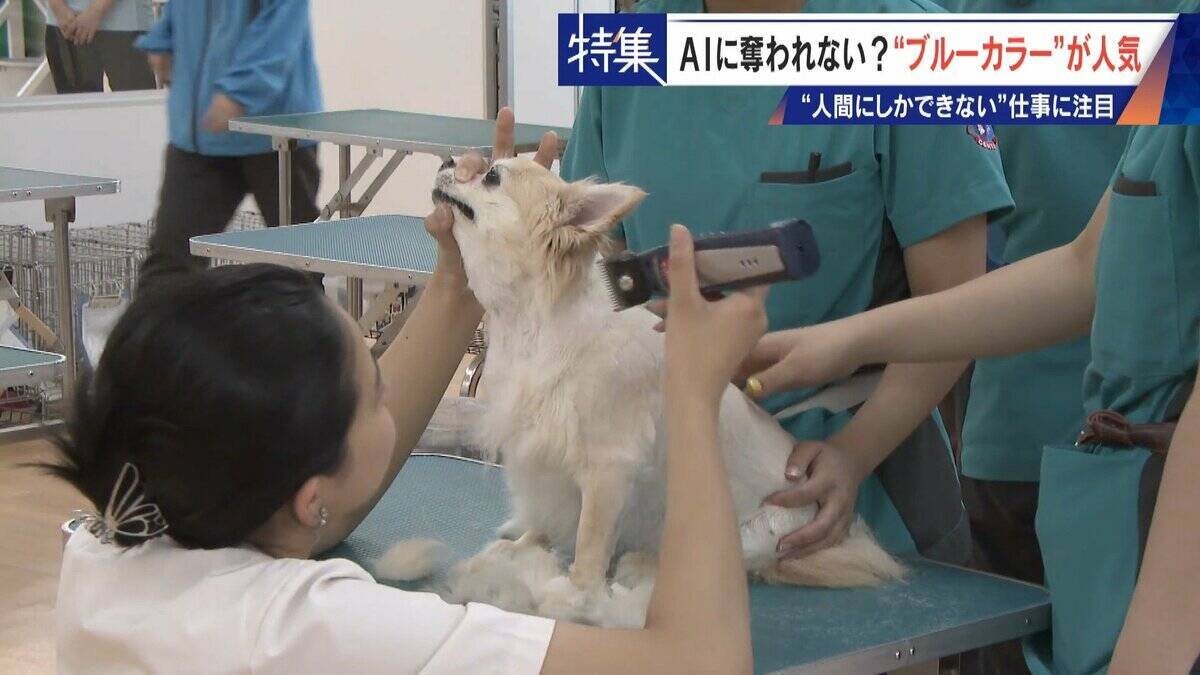 17年で日当約4倍 今や年収1000万円超も… ｢とび職｣ AIに“仕事を奪われない”ブルーカラーが人気