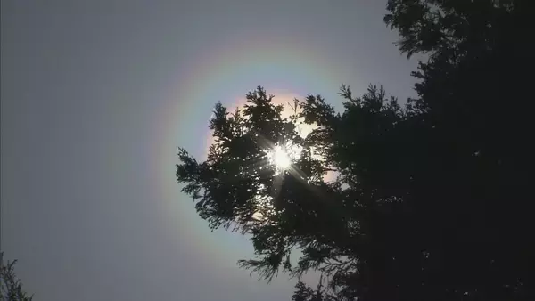 東北730％ 北海道420％ 花粉が去年より大量? 飛散ピークに現れる“おぞましい虹”の正体