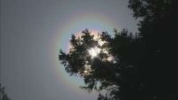 東北730％ 北海道420％ 花粉が去年より大量? 飛散ピークに現れる“おぞましい虹”の正体
