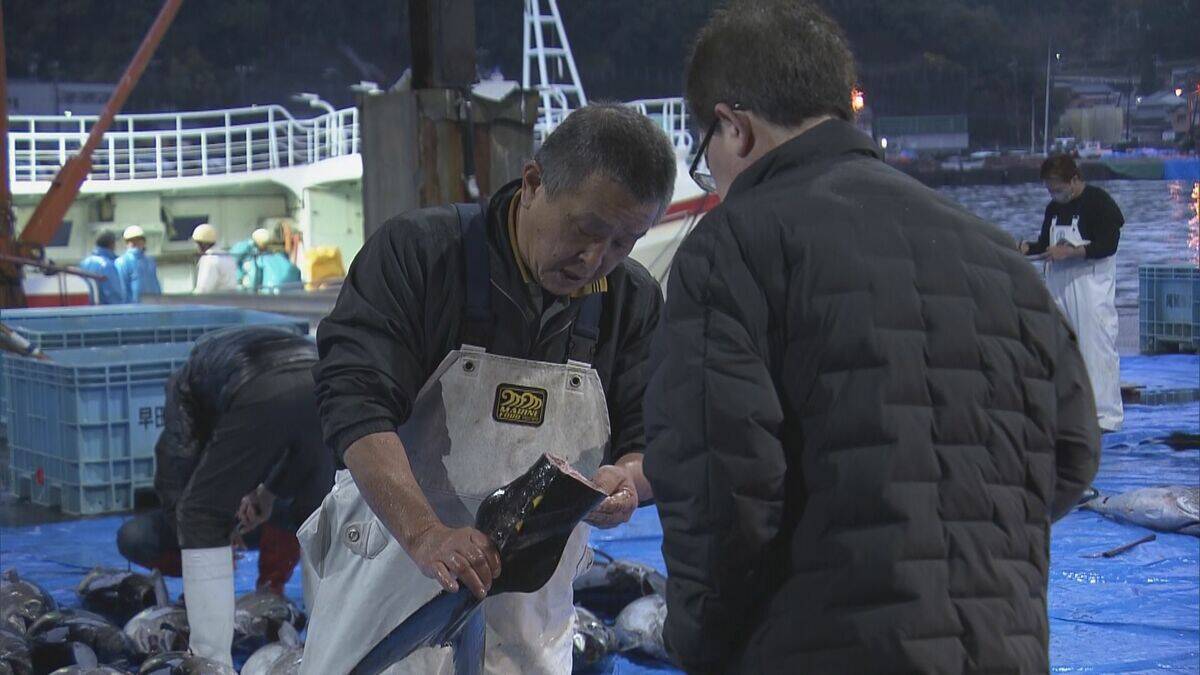 三重・尾鷲漁港で今年最後のマグロ約400本を水揚げ ｢年末商戦｣に向け活気 今年のマグロ“価格は例年並みもやや水揚げ量少なく”
