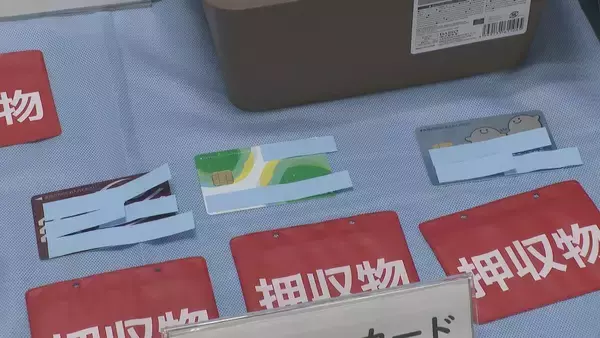 「45歳中国籍の女を逮捕 他人のID･パスワードでネット通販に不正アクセス 靴1足を自宅に配送させ盗んだ疑い 共犯者がいるとみて捜査 愛知」の画像