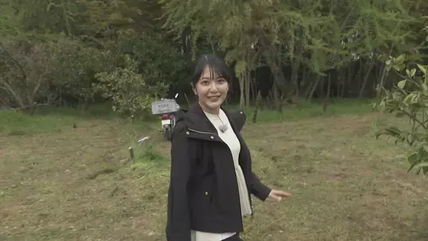 ｢1キロ600円｣ タケノコ豊作で去年の半額ほどに！ 3月初旬の雨ですでに倍近くの収穫量 岐阜･海津市