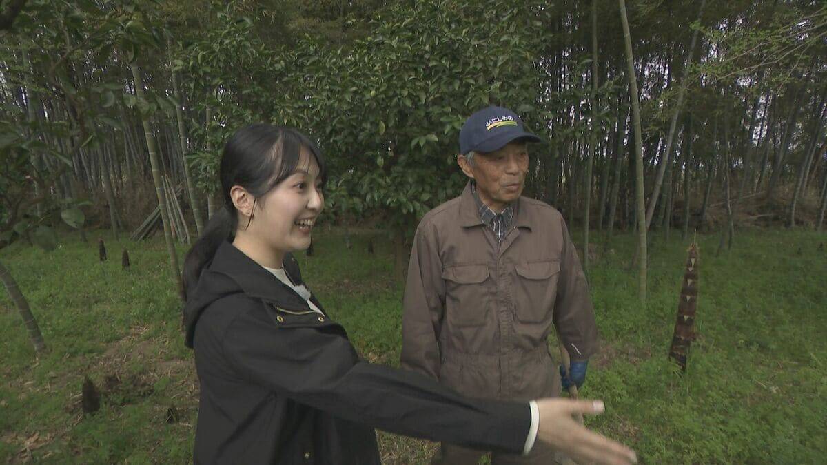 ｢1キロ600円｣ タケノコ豊作で去年の半額ほどに！ 3月初旬の雨ですでに倍近くの収穫量 岐阜･海津市