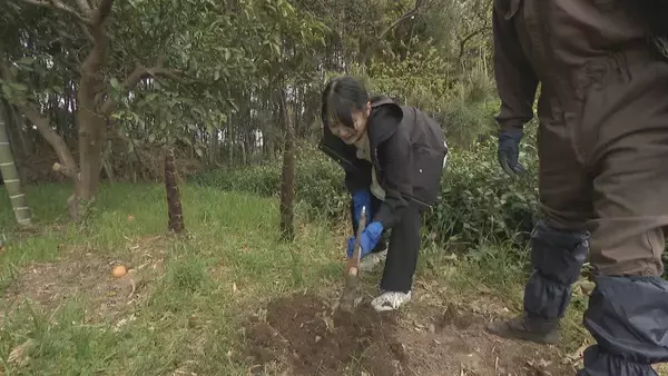 「｢1キロ600円｣ タケノコ豊作で去年の半額ほどに！ 3月初旬の雨ですでに倍近くの収穫量 岐阜･海津市」の画像