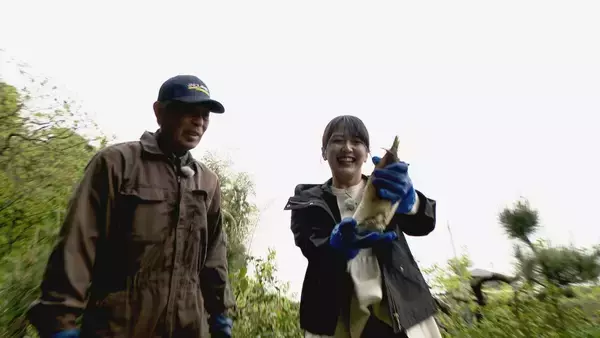 「｢1キロ600円｣ タケノコ豊作で去年の半額ほどに！ 3月初旬の雨ですでに倍近くの収穫量 岐阜･海津市」の画像