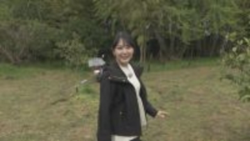 ｢1キロ600円｣ タケノコ豊作で去年の半額ほどに！ 3月初旬の雨ですでに倍近くの収穫量 岐阜･海津市