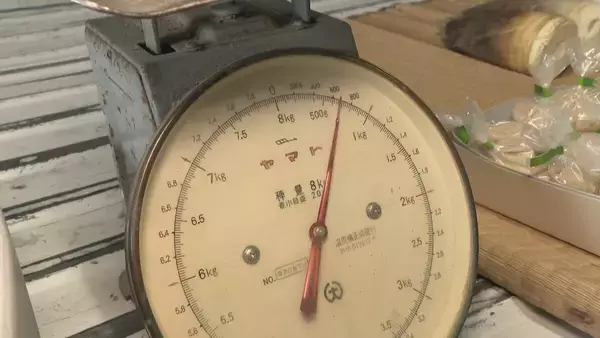 「｢1キロ600円｣ タケノコ豊作で去年の半額ほどに！ 3月初旬の雨ですでに倍近くの収穫量 岐阜･海津市」の画像