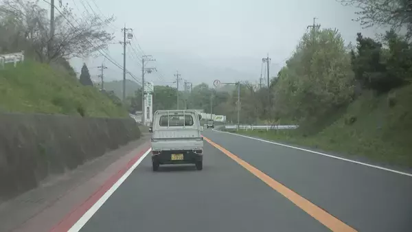 「｢1キロ600円｣ タケノコ豊作で去年の半額ほどに！ 3月初旬の雨ですでに倍近くの収穫量 岐阜･海津市」の画像