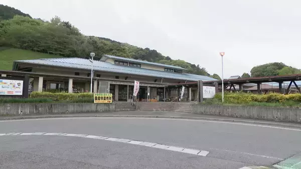 「｢1キロ600円｣ タケノコ豊作で去年の半額ほどに！ 3月初旬の雨ですでに倍近くの収穫量 岐阜･海津市」の画像