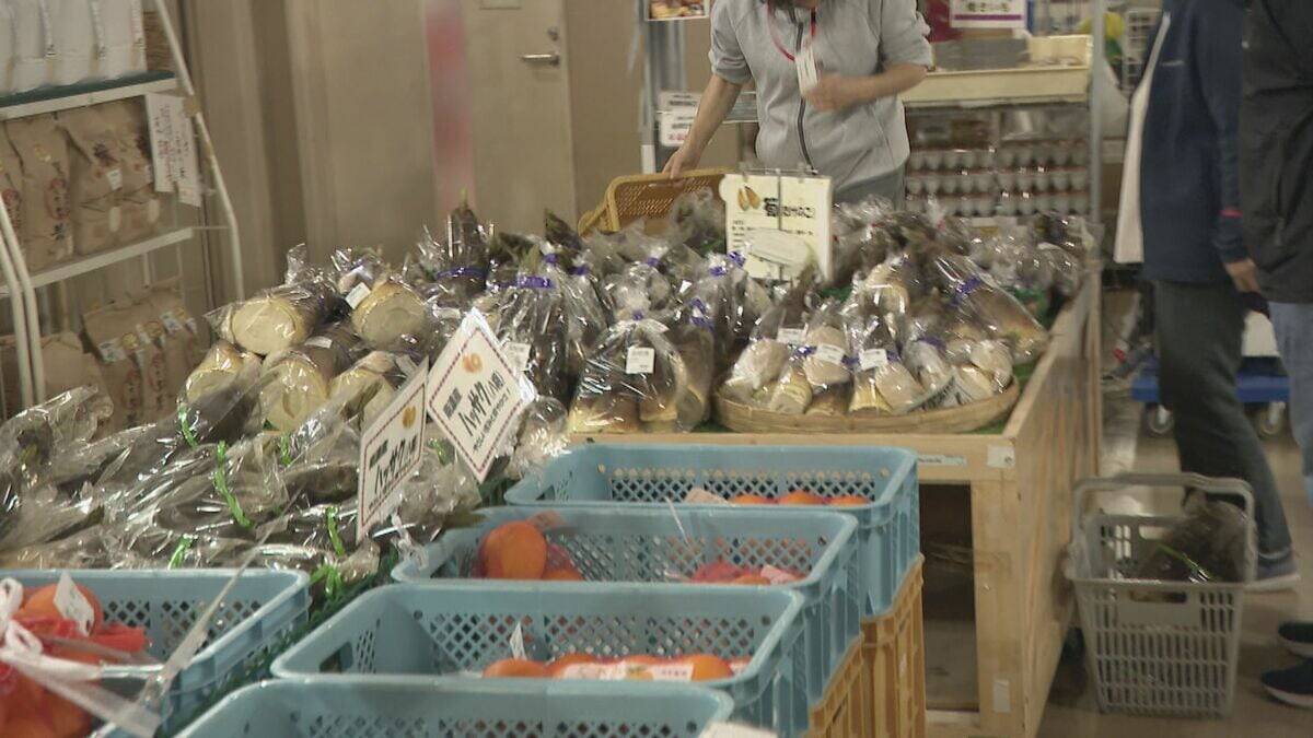 ｢1キロ600円｣ タケノコ豊作で去年の半額ほどに！ 3月初旬の雨ですでに倍近くの収穫量 岐阜･海津市