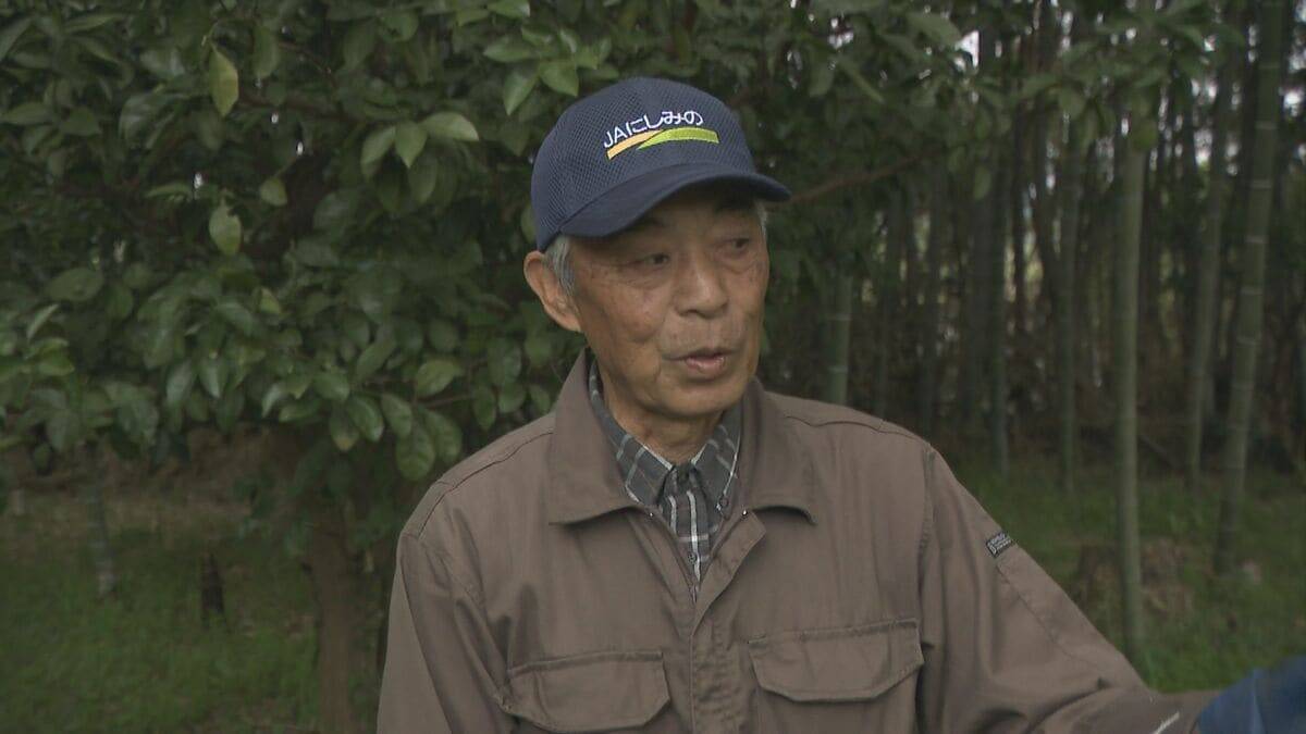 ｢1キロ600円｣ タケノコ豊作で去年の半額ほどに！ 3月初旬の雨ですでに倍近くの収穫量 岐阜･海津市