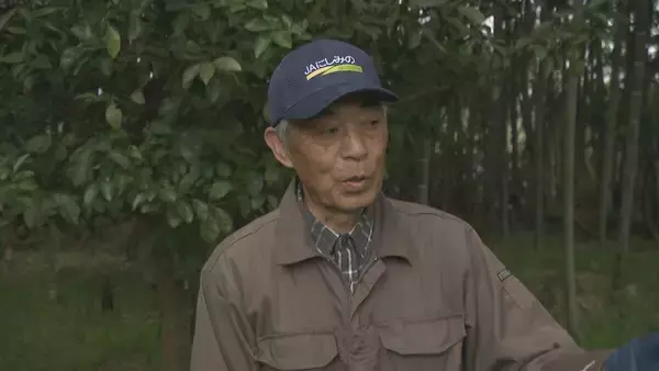 「｢1キロ600円｣ タケノコ豊作で去年の半額ほどに！ 3月初旬の雨ですでに倍近くの収穫量 岐阜･海津市」の画像