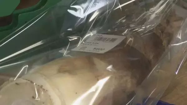 「｢1キロ600円｣ タケノコ豊作で去年の半額ほどに！ 3月初旬の雨ですでに倍近くの収穫量 岐阜･海津市」の画像