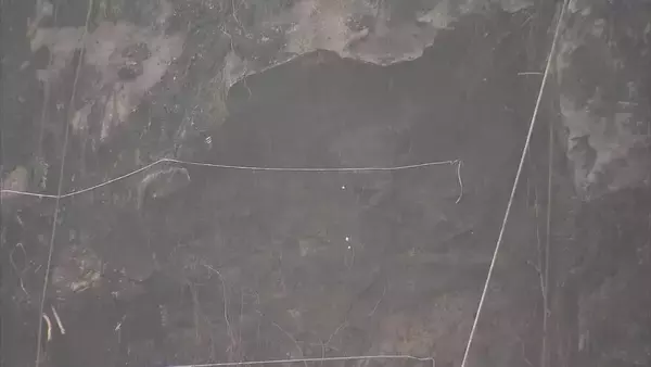 「愛岐道路の土砂崩れの原因分析「雨水が岩盤の亀裂に入って凍り 亀裂を広げていた」」の画像