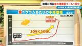 「残る金の埋蔵量は“プール1杯分” 最高値更新と思ったら急落… 今回の価格変動にはトランプ大統領が関係？ 30年で20倍に高騰」の画像1