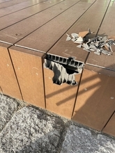 公園の休憩スペースのデッキが破損　13か所が欠けるなどの被害に…原因はスケートボードによる衝撃か　被害額は約60万円　愛知･岡崎市の籠田公園