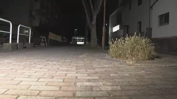 「愛知・小牧市の路上で強盗傷害事件　歩いていた43歳女性が、後ろから近付いてきた男に現金1万1000円入りのバッグ奪われ、前歯折るケガ」の画像