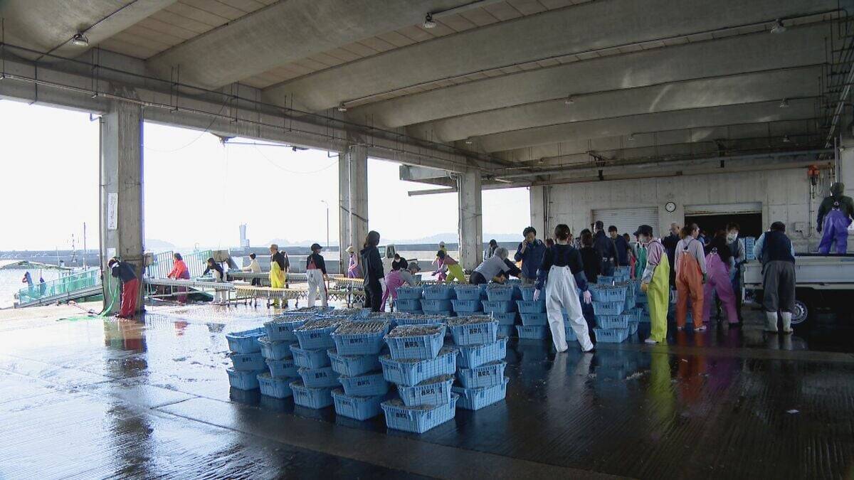 シラス｢過去にない豊漁｣の 一方で…ナフサショックで資材がない 加工業者｢市場に出回るシラスは安くならないかも｣