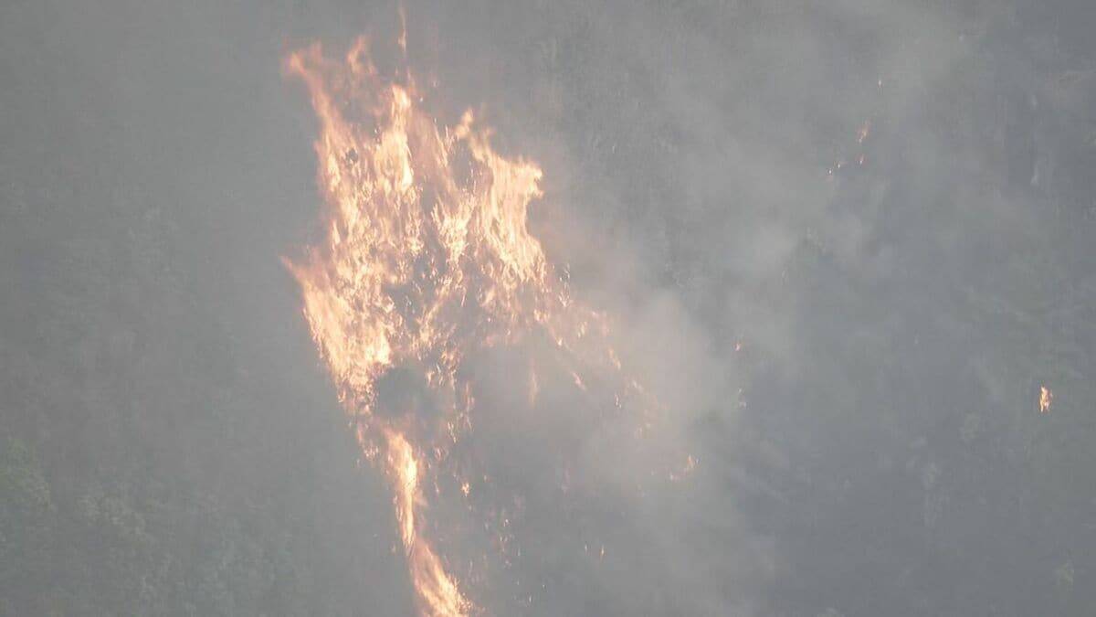 【速報】激しい炎も… 三重･津市で山林火災 延焼中 山頂への道幅狭く消防車は現場まで近づけず 消火剤タンクを背負った隊員が山へ 美杉町下之川