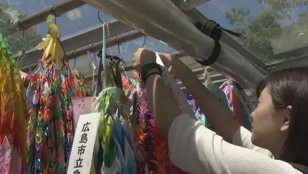 「“平和の象徴”折り鶴…70年前に名古屋の女子高校生が広島に贈った千羽鶴がその始まりだった 原爆で亡くなった少女への思いをつなぐ【戦後80年】」の画像