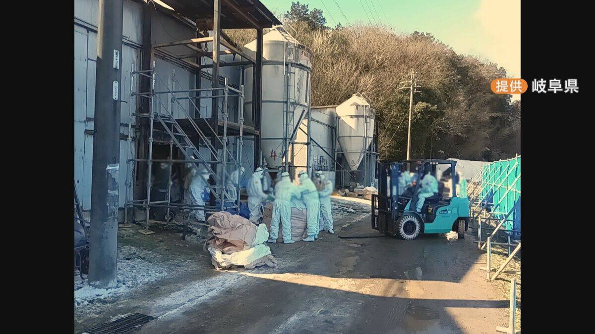 岐阜･関市の養鶏場で｢高病原性鳥インフルエンザ｣ 養鶏場のニワトリ2万羽を殺処分 半径10キロ以内で飼育される約120万羽は出荷制限