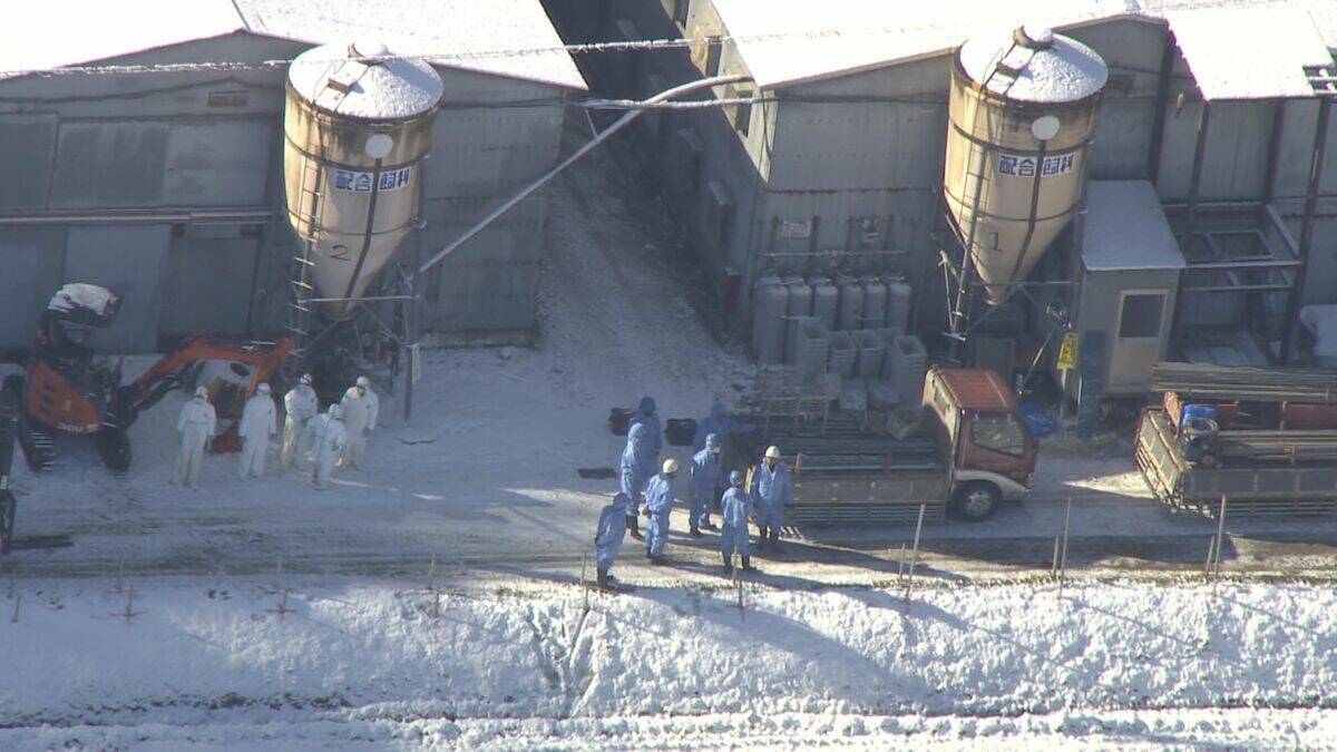 岐阜･関市の養鶏場で｢高病原性鳥インフルエンザ｣ 養鶏場のニワトリ2万羽を殺処分 半径10キロ以内で飼育される約120万羽は出荷制限