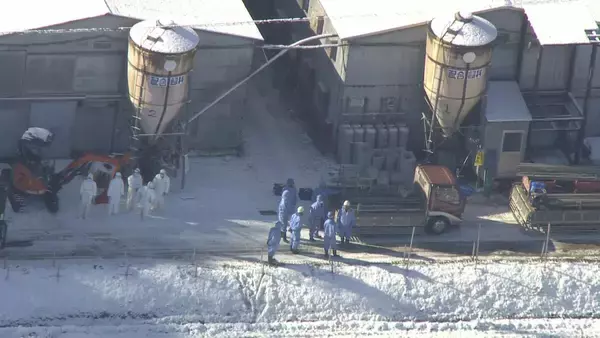 「岐阜･関市の養鶏場で｢高病原性鳥インフルエンザ｣ 養鶏場のニワトリ2万羽を殺処分 半径10キロ以内で飼育される約120万羽は出荷制限」の画像