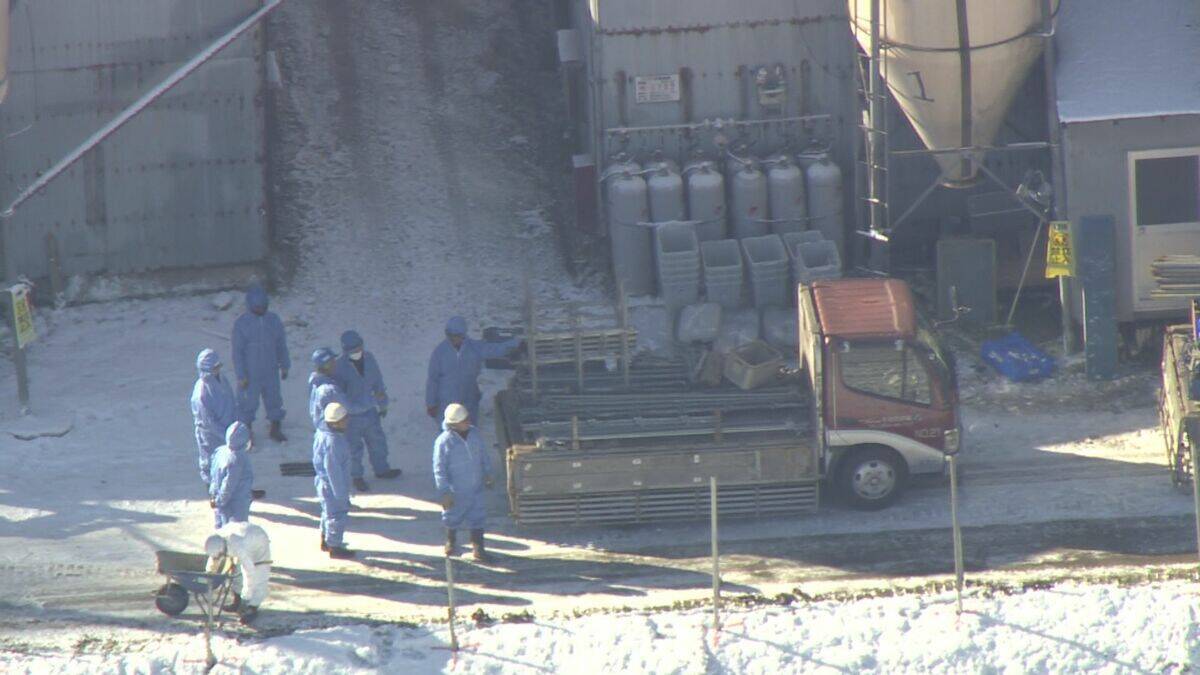 岐阜･関市の養鶏場で｢高病原性鳥インフルエンザ｣ 養鶏場のニワトリ2万羽を殺処分 半径10キロ以内で飼育される約120万羽は出荷制限