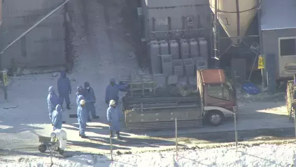 「岐阜･関市の養鶏場で｢高病原性鳥インフルエンザ｣ 養鶏場のニワトリ2万羽を殺処分 半径10キロ以内で飼育される約120万羽は出荷制限」の画像