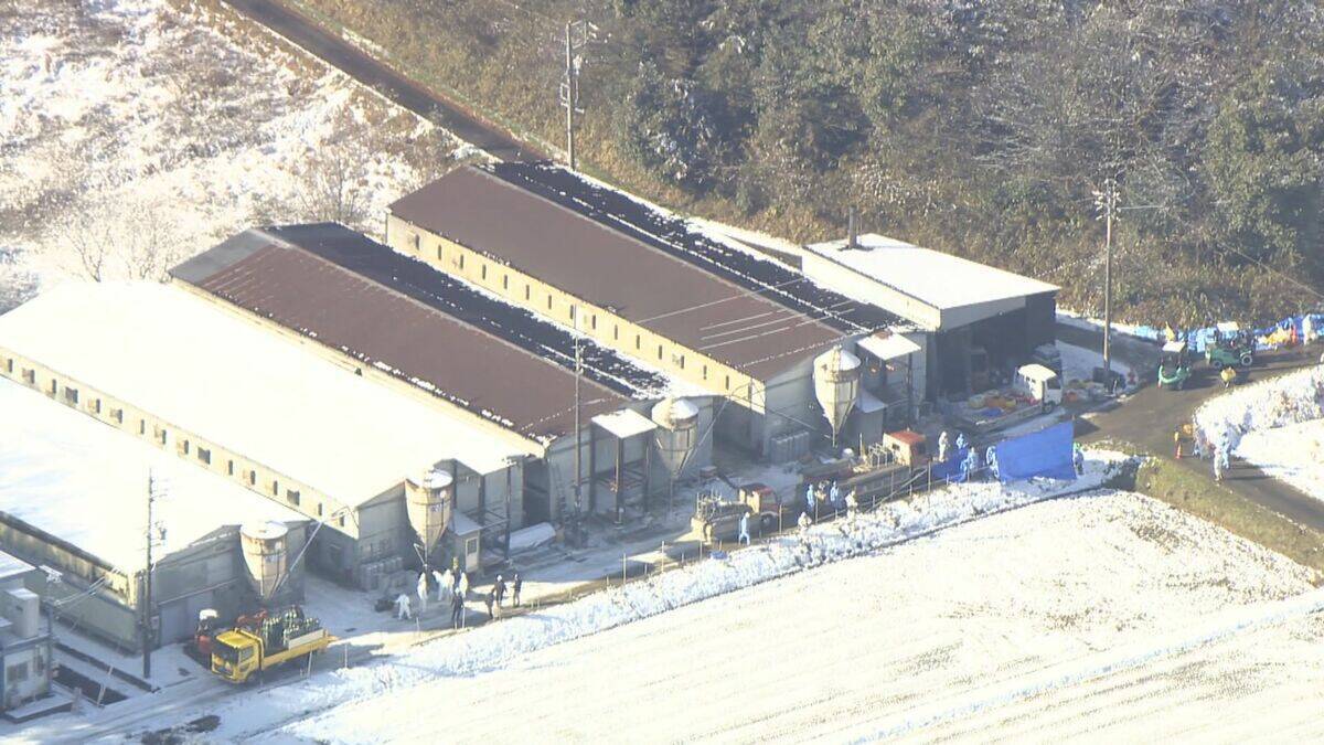 岐阜･関市の養鶏場で｢高病原性鳥インフルエンザ｣ 養鶏場のニワトリ2万羽を殺処分 半径10キロ以内で飼育される約120万羽は出荷制限