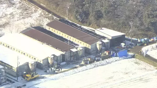 「岐阜･関市の養鶏場で｢高病原性鳥インフルエンザ｣ 養鶏場のニワトリ2万羽を殺処分 半径10キロ以内で飼育される約120万羽は出荷制限」の画像