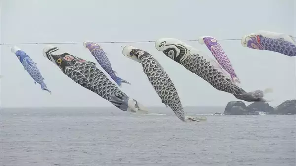 「海岸沿いに250匹の“こいのぼり” ゴールデンウイークを前に地元住民らが掲げる 三重・熊野市」の画像