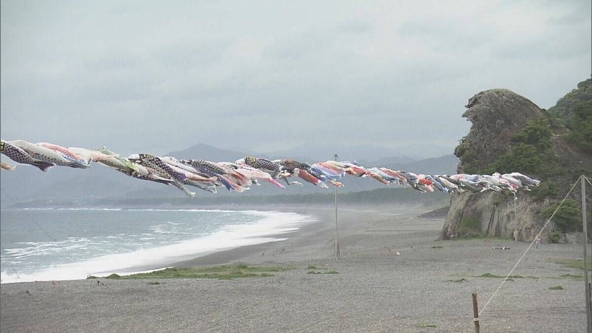 海岸沿いに250匹の“こいのぼり” ゴールデンウイークを前に地元住民らが掲げる 三重・熊野市