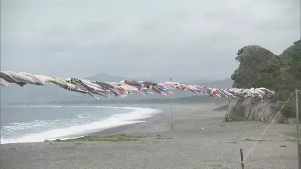 「海岸沿いに250匹の“こいのぼり” ゴールデンウイークを前に地元住民らが掲げる 三重・熊野市」の画像