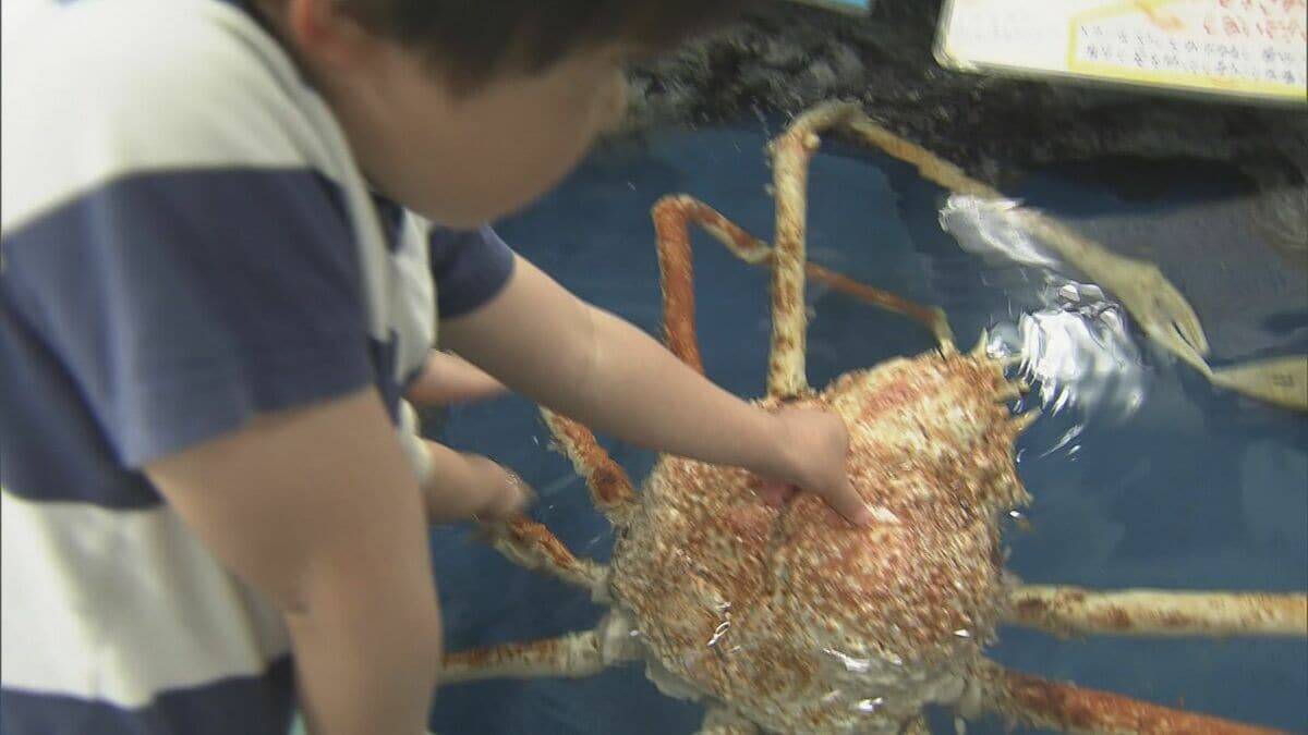“二重価格”でも大人気! 市民500円 市外1200円 愛知･蒲郡市の竹島水族館 “超レア”な深海生物が3匹同時にやってきた!?