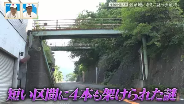 神奈川県の温泉地に潜む“謎の歩道橋” 一角に4本の歩道橋が密集するワケ【道との遭遇】