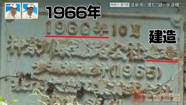 「神奈川県の温泉地に潜む“謎の歩道橋” 一角に4本の歩道橋が密集するワケ【道との遭遇】」の画像