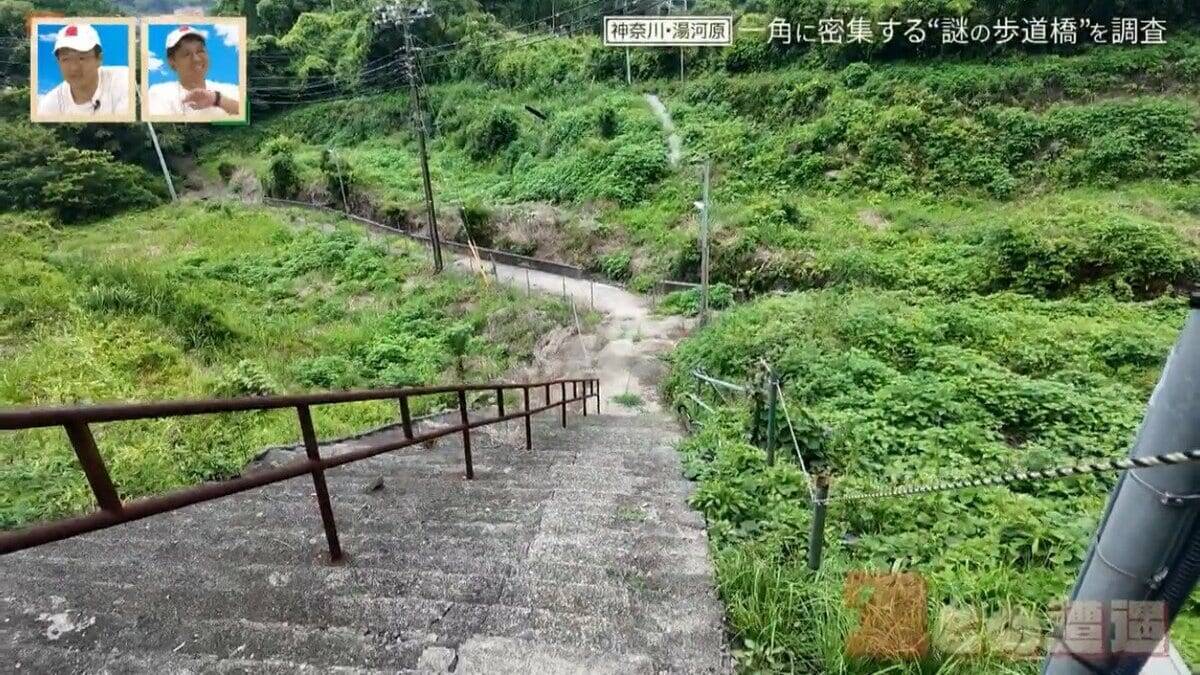神奈川県の温泉地に潜む“謎の歩道橋” 一角に4本の歩道橋が密集するワケ【道との遭遇】