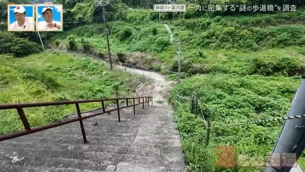 「神奈川県の温泉地に潜む“謎の歩道橋” 一角に4本の歩道橋が密集するワケ【道との遭遇】」の画像