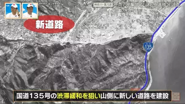 「神奈川県の温泉地に潜む“謎の歩道橋” 一角に4本の歩道橋が密集するワケ【道との遭遇】」の画像