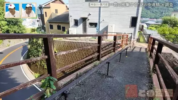 「神奈川県の温泉地に潜む“謎の歩道橋” 一角に4本の歩道橋が密集するワケ【道との遭遇】」の画像