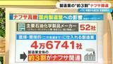 「製造業全体の3割がナフサ関連 イラン攻撃から約80日“ナフサショック”の影響を｢シンナーの流通｣で見てみる【大石邦彦解説】」の画像1