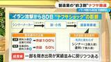 「製造業全体の3割がナフサ関連 イラン攻撃から約80日“ナフサショック”の影響を｢シンナーの流通｣で見てみる【大石邦彦解説】」の画像6
