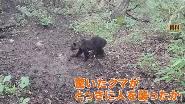 ランニング中にクマに襲われる被害なぜ？専門家｢クマにとっては“急に近づいてくる”ような状況｣ 自分の存在を遠くから知らせるため｢最低限 鈴は｣