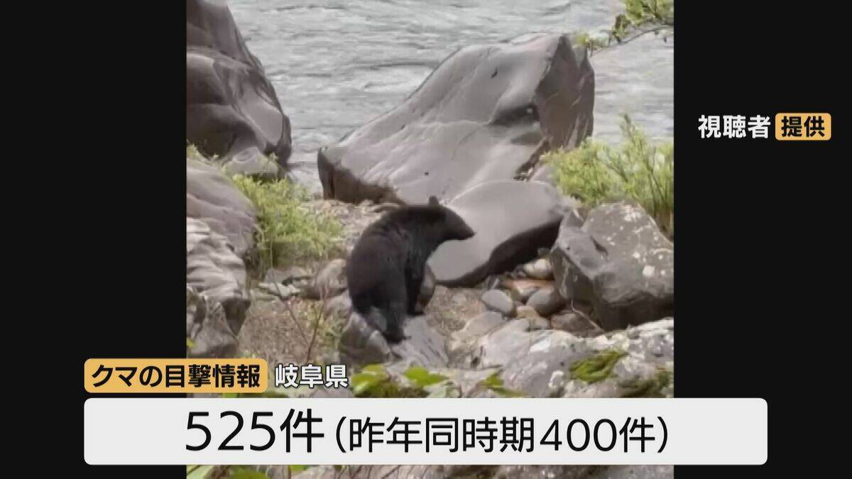 ランニング中にクマに襲われる被害なぜ？専門家｢クマにとっては“急に近づいてくる”ような状況｣ 自分の存在を遠くから知らせるため｢最低限 鈴は｣