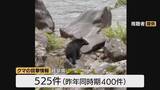 「ランニング中にクマに襲われる被害なぜ？専門家｢クマにとっては“急に近づいてくる”ような状況｣ 自分の存在を遠くから知らせるため｢最低限 鈴は｣」の画像4