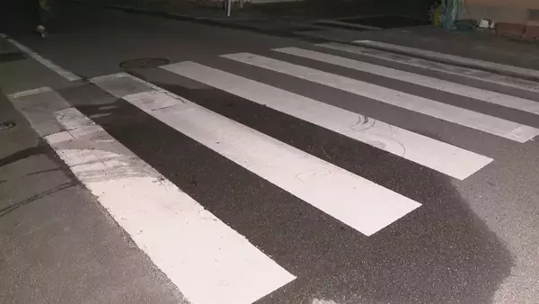 横断歩道で自転車を押して歩いていた87歳女性がはねられ重体　愛知・蟹江町