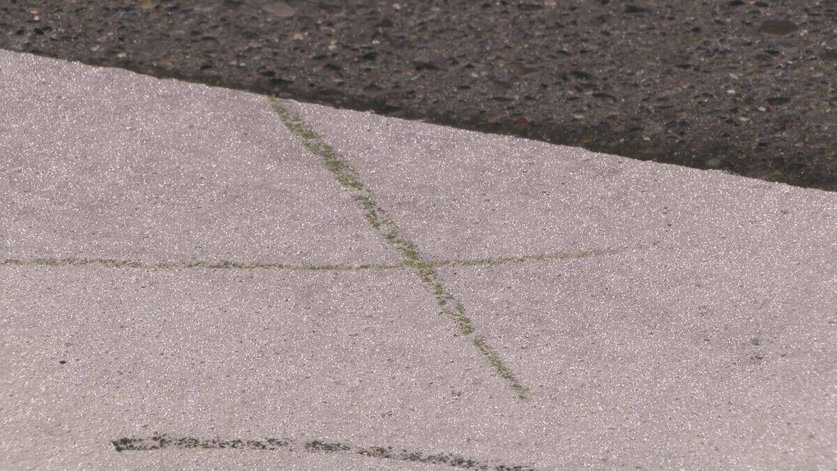 横断歩道で自転車を押して歩いていた87歳女性がはねられ重体　愛知・蟹江町